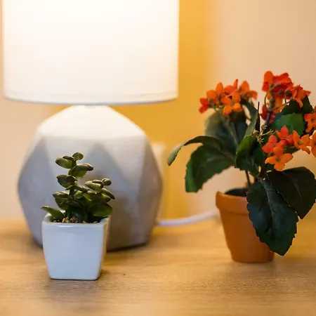 公寓 Place Near Polytechnic 利沃夫